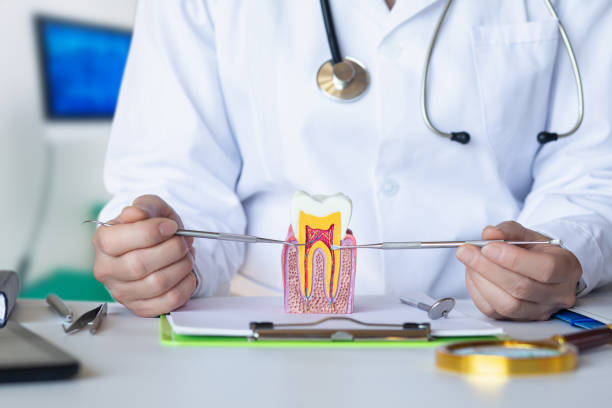 Best Emergency Tooth Extraction in Algonquin, MD